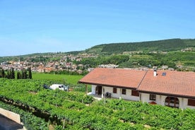 Valpolicella - il paradiso del vino