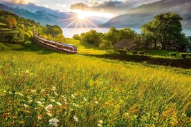 Lucerne–Interlaken Express: One-Way Train Ticket