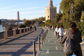 Seville Bike Tour Following the Guadalquivir River