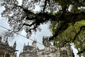 Sintra Quinta da Regaleira Skip The Line Ticket