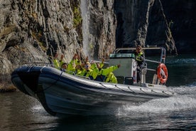 Geiranger: RIB Fjordsafari Geirangefjord