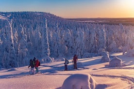 Full-Day Snowshoeing Adventure in Amethyst Mine Pyhä Luosto