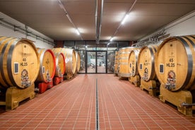 Vin- og matparing på La Morra Winery i Langhe