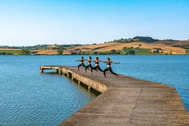 Relax and nature: Yoga lesson on the shore of the lake with picnic