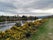 Whin Park, Ballifeary, Highland, Scotland, United Kingdom