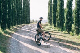 Rafmagnahjólaferð og Vínsmökkun frá San Gimignano