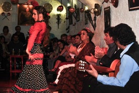 The best Tapas & Flamenco Show - City Tour, Tapas & Wine, and Flamenco Show