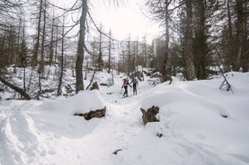 photo of panoramic view of Lana is a commune and a village in South Tyrol in northern Italy. It is situated in the Etschtal between Bolzano and Merano and at the entrance to the Ultental.