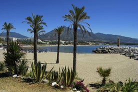 Private Transfer from Marbella to Malaga (AGP) airport