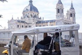 Tour of Castizo Madrid with a private guide in a yellow Tuk-Tuk