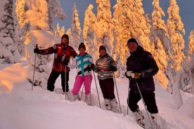 2-Hour Snowshoeing Experience in Levi