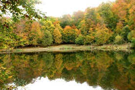 From Yerevan: Dilijan, Parz Lake, Makaravank, wine factory