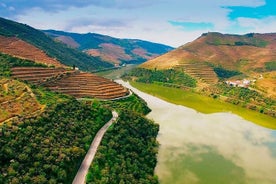 Trip to Douro Valley from Porto 