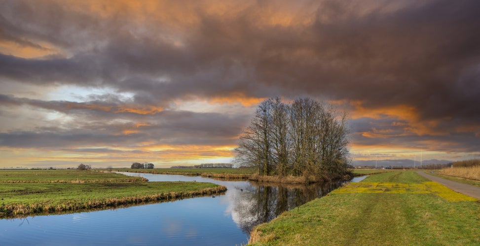 photo of view of Sunset typical Dutch polder landscape in polder Zaans Rietveld along N11 in the municipality of Alphen aan den Rijn, the Netherlands.