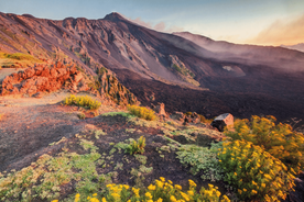 Frá Möltu: Dagsferð til Etna-fjalls & Sýrakúsu með leiðsögn