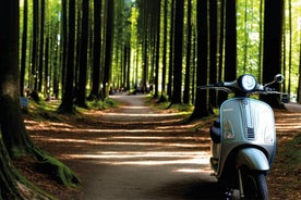 Vespa-tour en truffeljacht in Chianti met diner