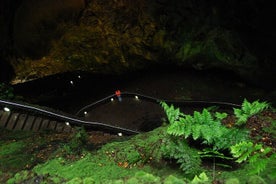 Private Caves Tour with a Geologist