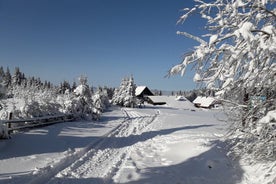 1-day Private Snowshoe Hike in the Gorce Mountains near Krakow