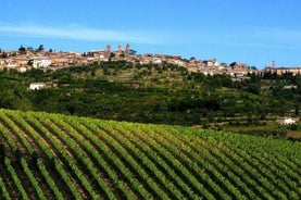 Tour privado Vino y queso una combinación perfecta val 'Orcia