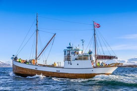 Pesca de meio dia e aventura de cruzeiro no fiorde de Tromsø na Noruega