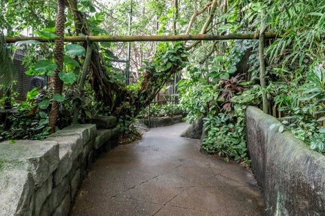 Photo of Randers Tropical Rain forrest, Regnskov.