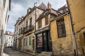 Toeristische hoogtepunten van Semur-en-Auxois een privétour van een halve dag met een local