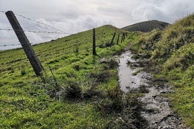 Randonnée privée d'une demi-journée autour de la Caldeira