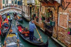 Enchanting Venice: City Walk & Majestic Gondola Ride!