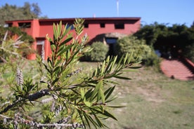 Casa rural Entreaguas