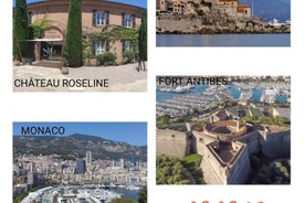 Day Trip / transfer to and from aéroport Nice Côte d'Azur