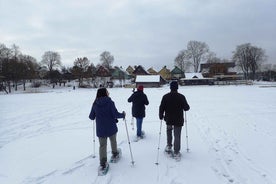 Trakai Snjóþrúguganga