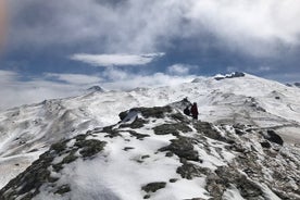 Excursão de safári de Sierra Nevada por 4WD em Granada