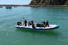 Albufeira 2 Reef Dives (QUALIFIED DIVERS)