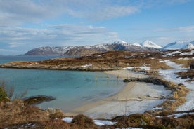 Gita di un giorno nell'Artico di Sommarøy