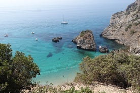 Transfert aller-retour en bateau-taxi sur la plage de Ribeiro do Cavalo