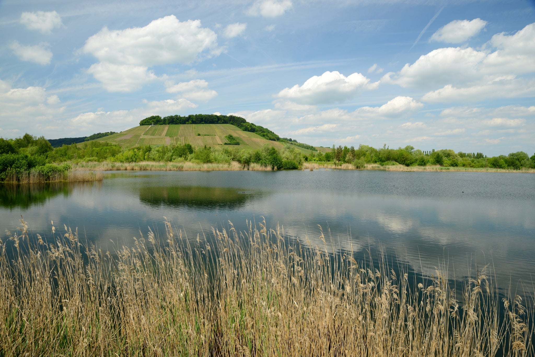 Haff Reimech in Luxembourg.jpg