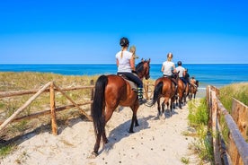 Ridning - kväll - i Paros