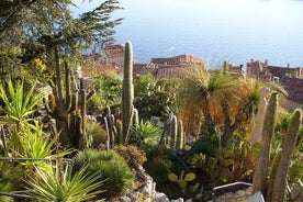 Full Day Tour in Eze Monaco and Monte-Carlo from Nice