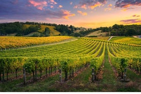 Évasion de raisin d'une journée sur la route des vins d'Alsace via Strasbourg