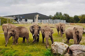 Blackpool: Aðgöngumiði í Dýragarð