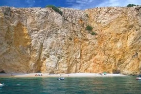 Simning och snorkling på Wild Bays 3,5 timmar (PUBLIC)