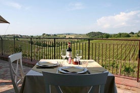 Excursión en tierra desde Livorno: excursión privada de vino a Chianti y campiña de Toscana