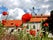 Bishop's Palace, Sümeg, Sümegi járás, Veszprém, Central Transdanubia, Transdanubia, Hungary