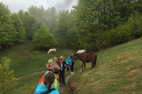 Escursione di 5 giorni nel nord dell'Albania