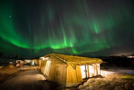 Visita con huskies a la aurora boreal