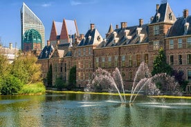 Private Day Tour: Rotterdam and The Hague. English or Spanish