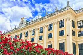 Grand Schoenbrunn Palace and Carriage Museum Tour Small Group