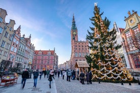 Visite privée de l'hôtel de ville et de la vieille ville de Gdansk avec billets