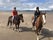 ROSSBEIGH Beach Horse Riding Centre, Faha, Glanbehy ED, Kenmare Municipal District, County Kerry, Munster, Ireland