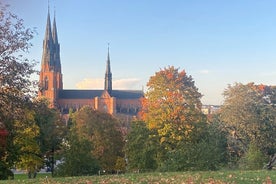 Ganztägige Wikingertour mit schwedischer Fika-Kaffeepause